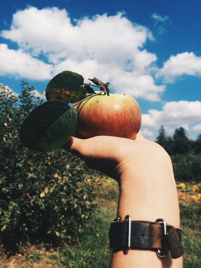 Processed with VSCOcam with hb2 preset