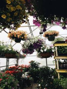 13282811_1356016467748905_1563391529_o