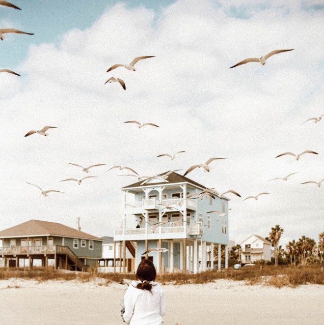 rachcodiwalk62 - img_4866__